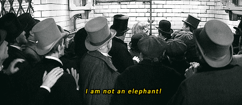 Yeah, yeah, tell it to your audience, Dumbo.